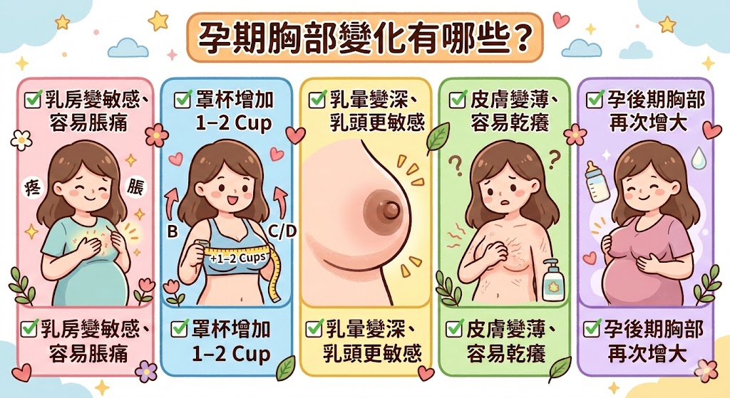 孕期胸部變化有哪些？